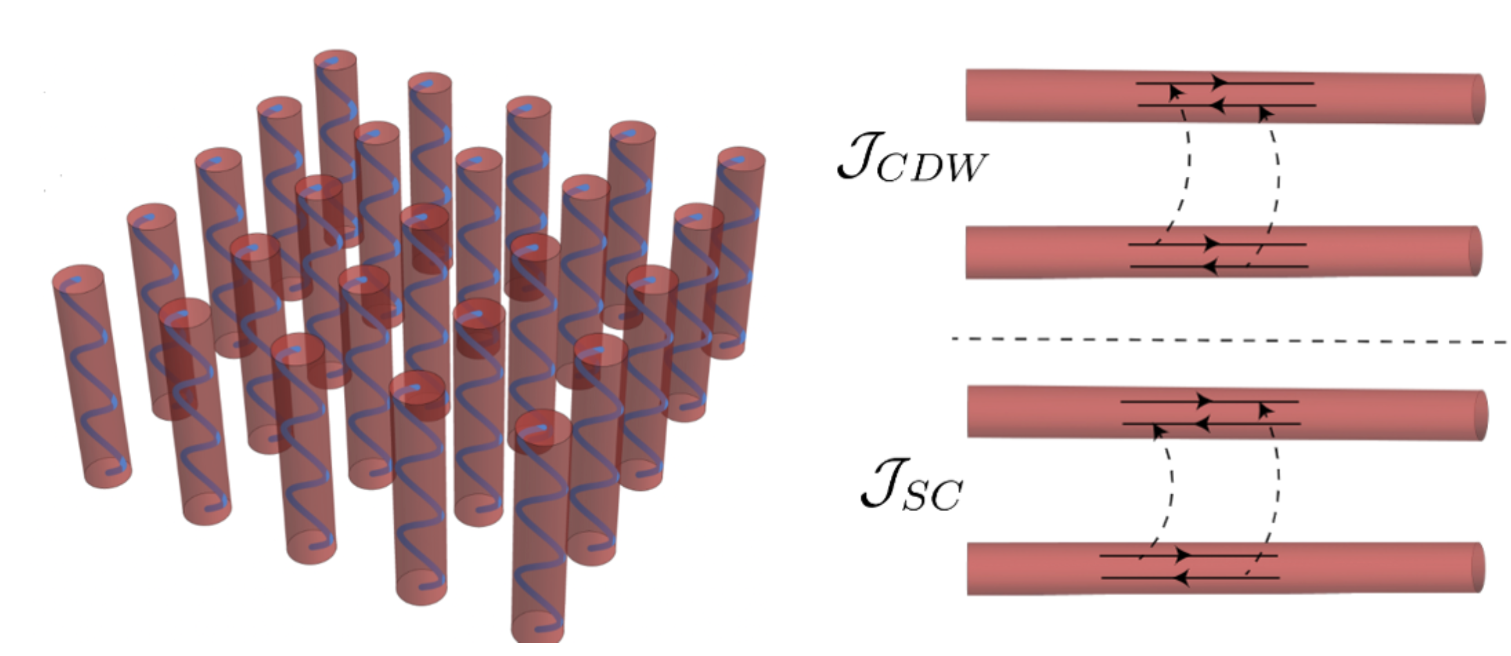 Quasi-one-dimensional supersolid with CDW and superconducting couplings schematic