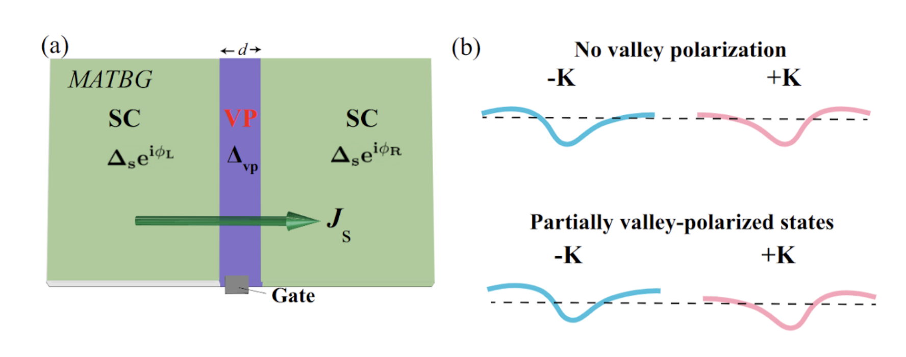 Valley-polarized state mediated Josephson junction in superconducting TBG